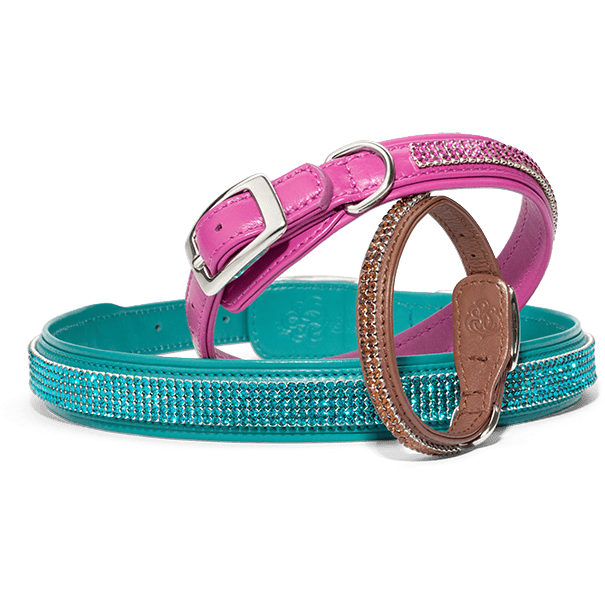 Pet accessory product photography example featuring jeweled leather dog collars